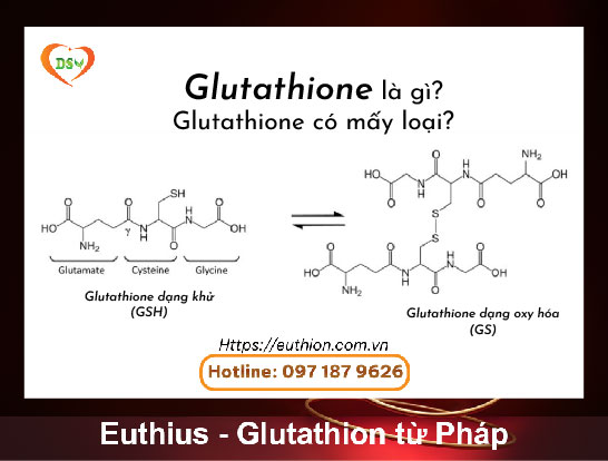 Glutathione là gì euthius-01-01