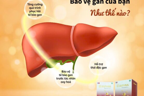 Euthius bảo vệ gan của bạn như thế nào?